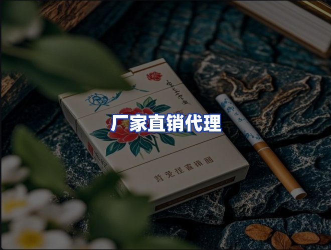 专业团队